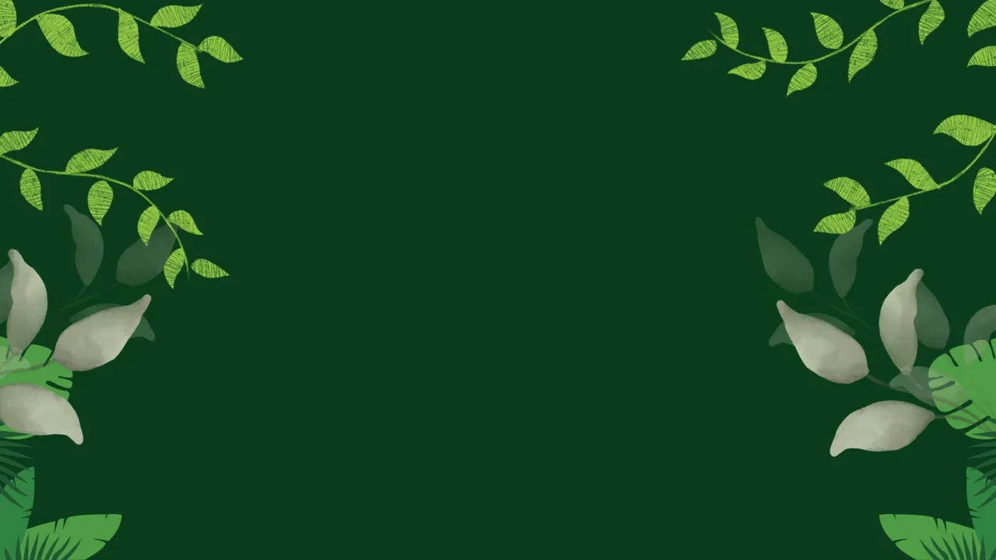 fb88-backdropwebp