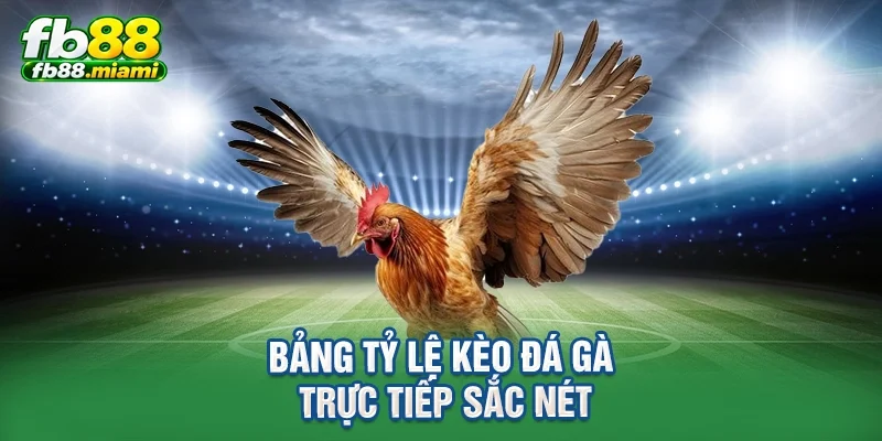 Bảng tỷ lệ kèo đá gà trực tiếp sắc nét