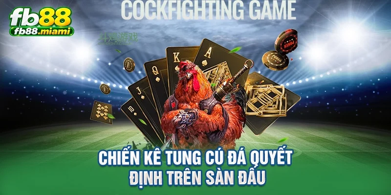 Chiến kê tung cú đá quyết định trên sàn đấu