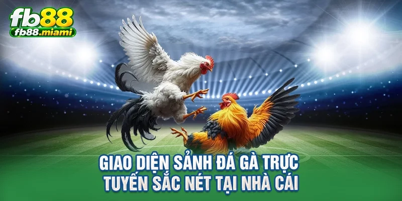 Giao diện sảnh đá gà trực tuyến sắc nét tại nhà cái