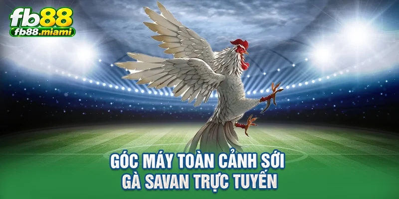 Góc máy toàn cảnh sới gà Savan trực tuyến