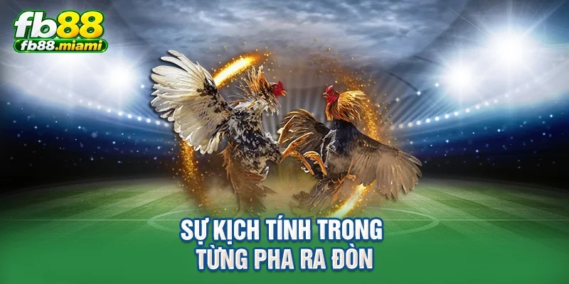 Sự kịch tính trong từng pha ra đòn