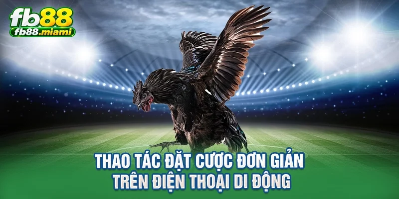 Thao tác đặt cược đơn giản trên điện thoại di động